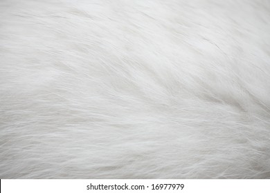 White Fur Texture Background