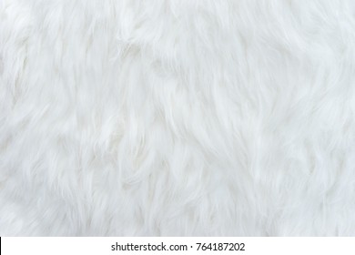 White Fur Texture For Background