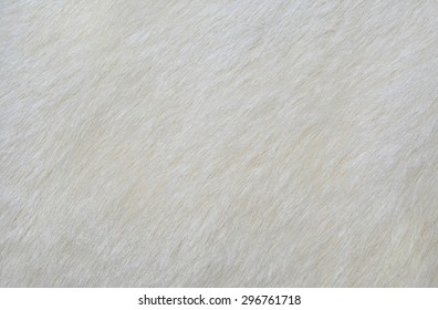 White Fur Texture Background. Skin