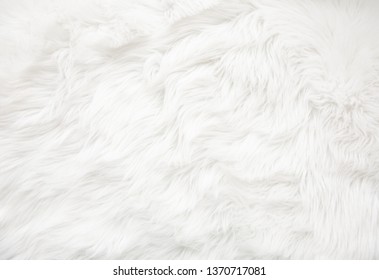 White fur texture close up, useful as background