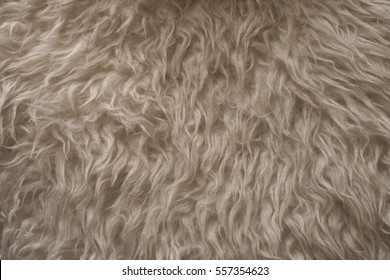White Fur Texture. Close Up View Of Abstract Fur Background. Natural White Fur Background. Animal Hair. Abstract Texture And Background For Designers. White Wool Texture. 