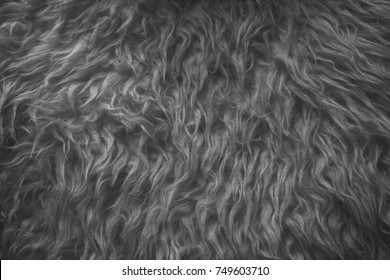 White Fur Texture, Close Up View Of Abstract Fur Background Made With Natural Animal Hair. 