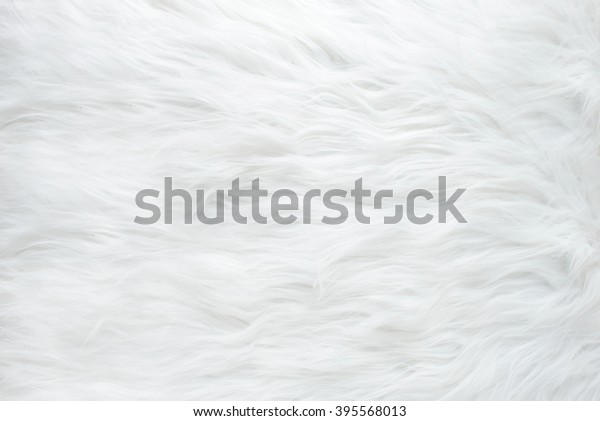 White fur\
texture, close-up.Useful as\
background