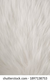 White Fur Texture Full Background.