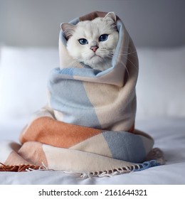 White Furry Cat Big Blue Eyes Stock Photo 2161644321 | Shutterstock