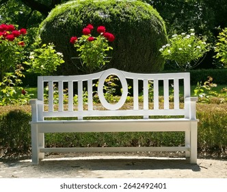 White Garden Bench Surrounded by Roses and Manicured Shrubs in Summer Park