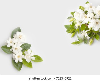 White Gardenia Flower Bouquet Isolated On White Background.