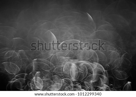 Similar – Image, Stock Photo Euphorbia leaves with water drops isolated