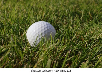 White Golf Ball In The Grass Off The Green. Bad Golf Shot.