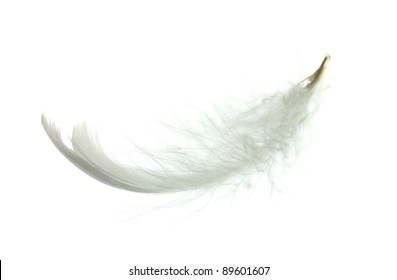 124,264 Goose feather Images, Stock Photos & Vectors | Shutterstock