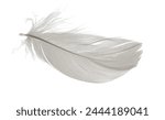 white goose feathers on white isolated background