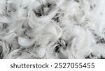 white goose feathers with visible texture. background