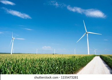 A white gravel road leading through corn fields to windmills in Iowa. 
