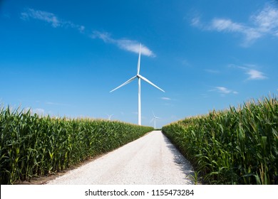 A white gravel road leading through corn fields to windmills in Iowa. 