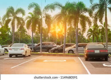 White And Gray Cars Parked  On Asphalt Outdoor Car Parking Lot With One Empty Space,sun Set Sky And Palm Trees In A Park Background. Green Transportation Eco Environment In Nature Concept
