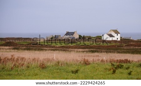 Similar – Foto Bild Verschlafenes Nest