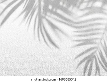 White Gray Grunge Cement Texture Wall Leaf Plant Shadow Background.Summer Tropical Travel Beach With Minimal Concept. Flat Lay Palm Nature.