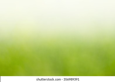 White   green gradient abstract for text background 