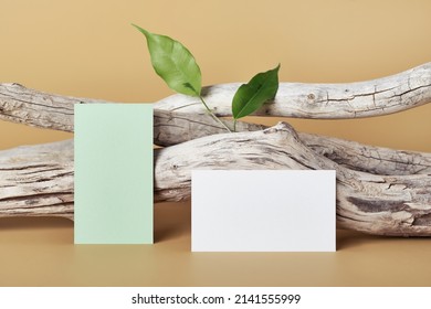 White And Green Paper Business Card Mockup. Natural Driftwood And Green Leaves On Beige Background