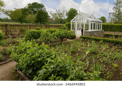  white greenhouse in a small well maintained vegetable garden,  growing fresh organic food concept - Powered by Shutterstock