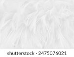 White grey color bird feather pattern texture for background and design.