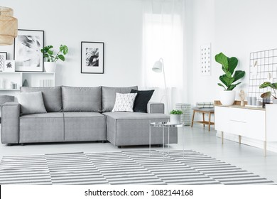 White and grey flat interior with striped carpet, corner couch and green plants