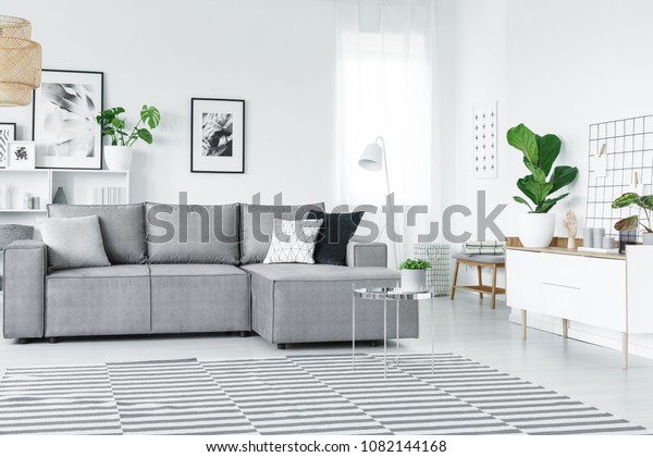 White and grey flat interior with striped carpet,\
corner couch and green\
plants