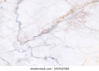 White grey marble texture background with high resolution, top view of natural tiles stone floor in luxury seamless glitter pattern for interior and exterior decoration. - Shutterstock ID 1919547584