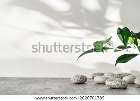 White and grey textured stone podium with sea pebbles, green leaves and plant shadow pattern. Mockup for the demonstration of cosmetic products with copy space.