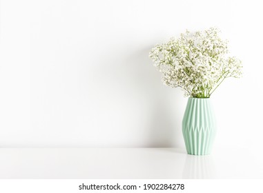 White gypsophila (baby's-breath) flower in light green ceramic vase on white wall background. Home interior decoration concept. Place for text. - Powered by Shutterstock