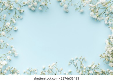 White gypsophila flowers or baby's breath flowers  on blue  background.  Copy space.