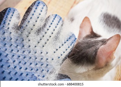 White Hair Cat Loss On Grooming Gloves After Brush 