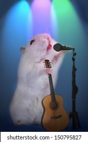 white hamster as music star singing with microphone and holding guitar on the stage