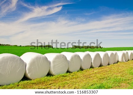 White hey bales and grass with blue cloudy sky
