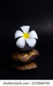 White hibiscus flower on the zen stone isolated on black background,spa stones and white flower.