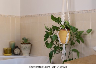 White Homemade Macrame Plant Hanger In Bathroom, Home Decor