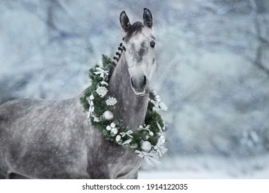 White horse with christmas wreath in snow day