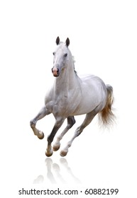 White Horse On White Isolated