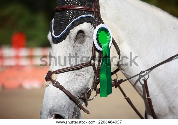 White horse with only one eye in award\
ceremony with ribbon, closeup empty eye\
socket.