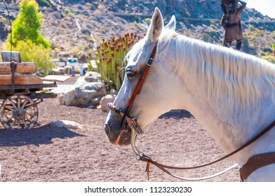 White Horse. Sioux City. Gran Canaria, Canary Islands, Spain.