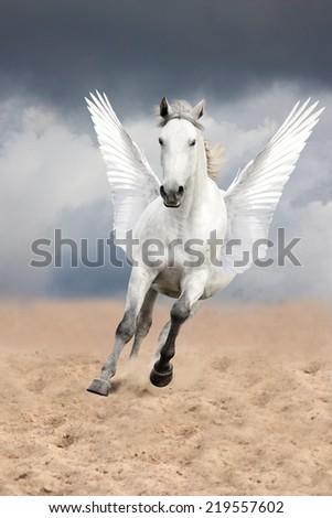 White horse with wings running free (pegasus)