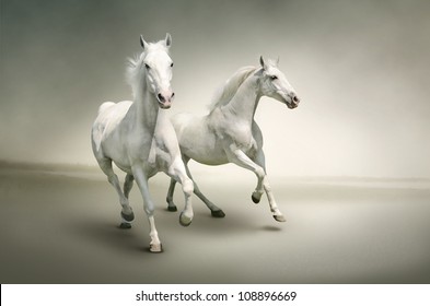 White Horses