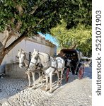 white horses and carriage in Sintra Portugal 