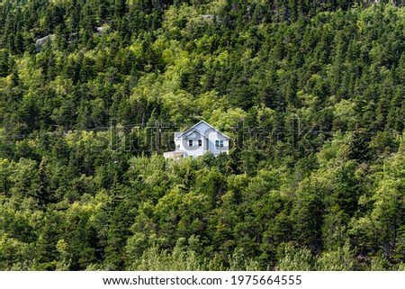 White house in the middle of green tree forest background. Light blue cozy house surrounded by green trees in a wood on the mountain. Dwelling house in a natural tree pattern background.