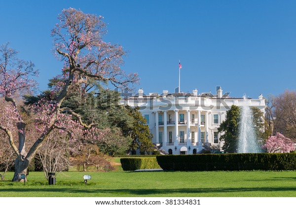 White House Spring Flowers Stock Photo (Edit Now) 381334831