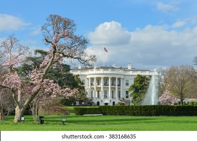 The White House In Spring - Washington DC USA
