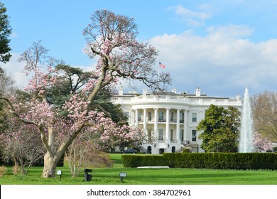 The White House In Spring - Washington DC USA
