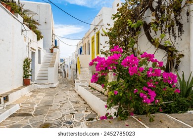 White houses in narrow alley of traditional Kastro village with bougainvillea flowers in foreground, Sifnos island, Greece - Powered by Shutterstock