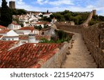 White houses with red roofs and exotic trees surrounded by the walls of Castelo de Óbidos in Obidos, Portugal	