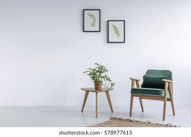 White Interior With Kale Green Chair, Rug And Small Table